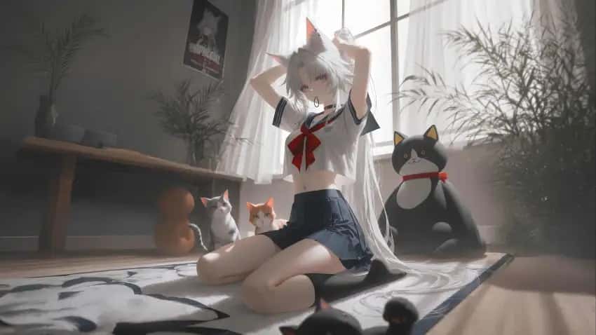 DLsite中文官网封面